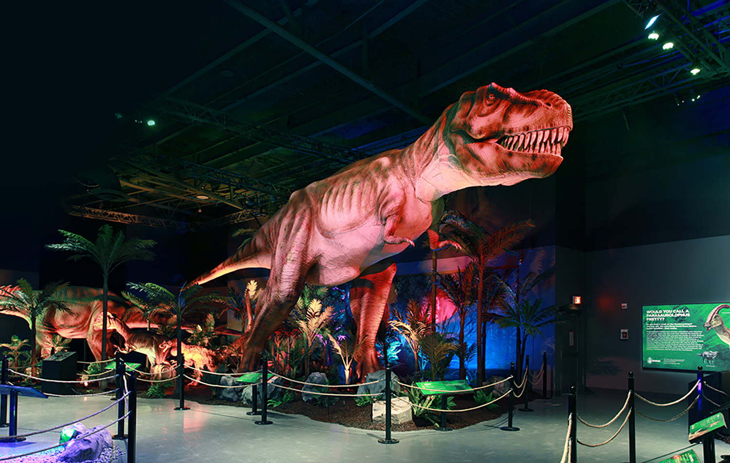 tyrannosaurus exhibition